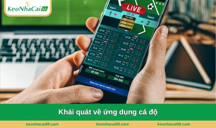 Khái quát về ứng dụng cá độ