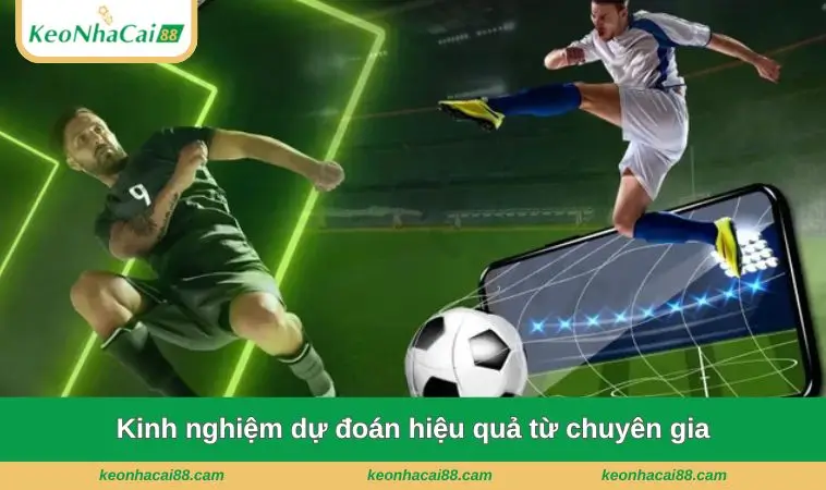 Kinh nghiệm dự đoán hiệu quả từ chuyên gia