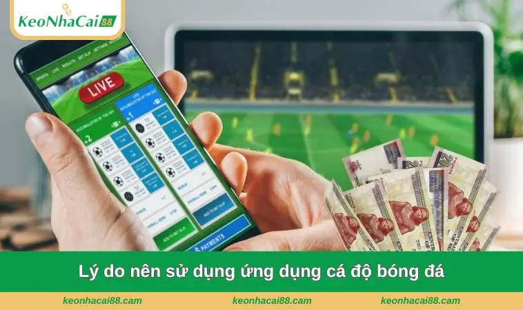 Lý do nên sử dụng ứng dụng cá độ bóng đá