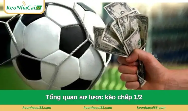 Tổng quan sơ lược kèo chấp 1/2