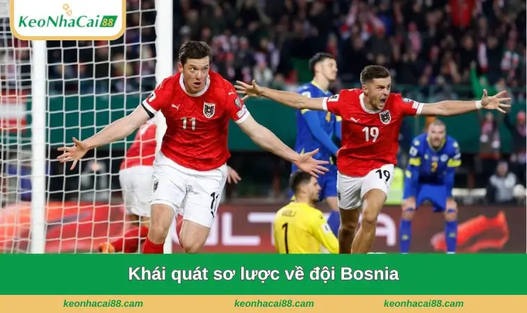 Khái quát sơ lược về đội Bosnia