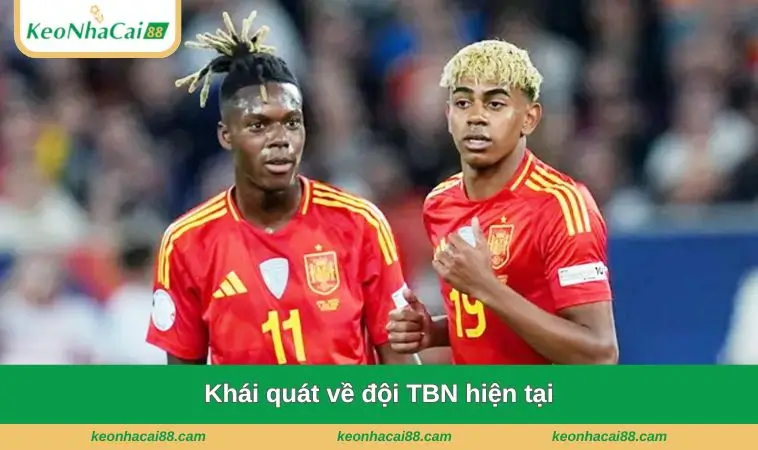Khái quát về đội TBN hiện tại