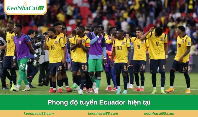 Phong độ tuyển Ecuador hiện tại