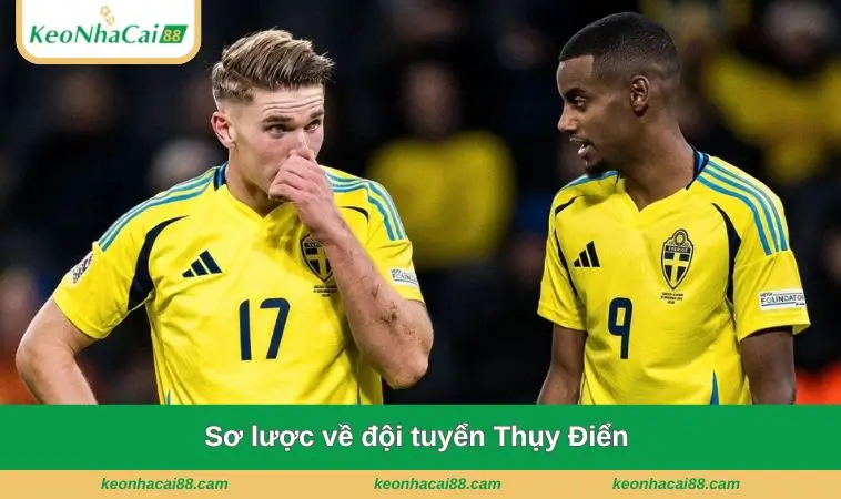 Dự đoán: Thụy Điển 1-0 Tunisia