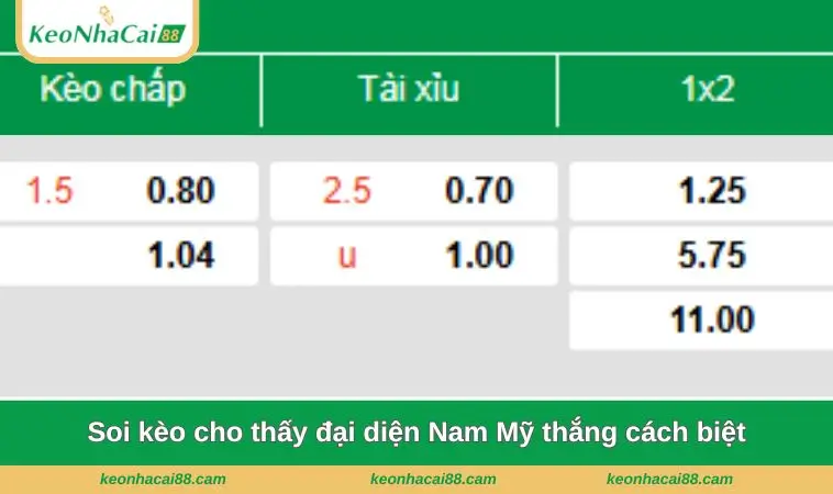 Soi kèo cho thấy đại diện Nam Mỹ thắng cách biệt