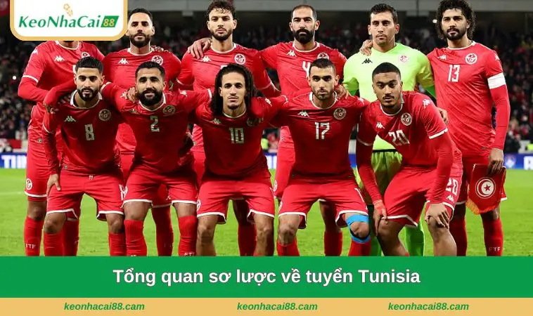 Tổng quan sơ lược về tuyển Tunisia