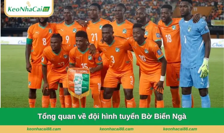 Tổng quan về đội hình tuyển Bờ Biển Ngà