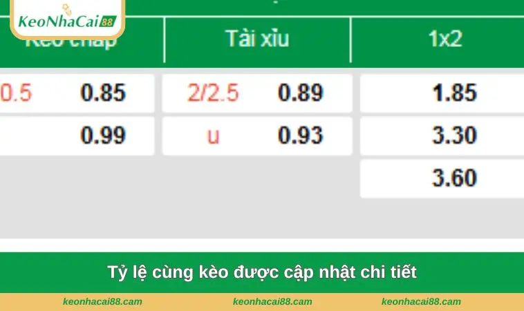 Tỷ lệ cùng kèo được cập nhật chi tiết